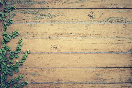 Wood texture plank floor Photo