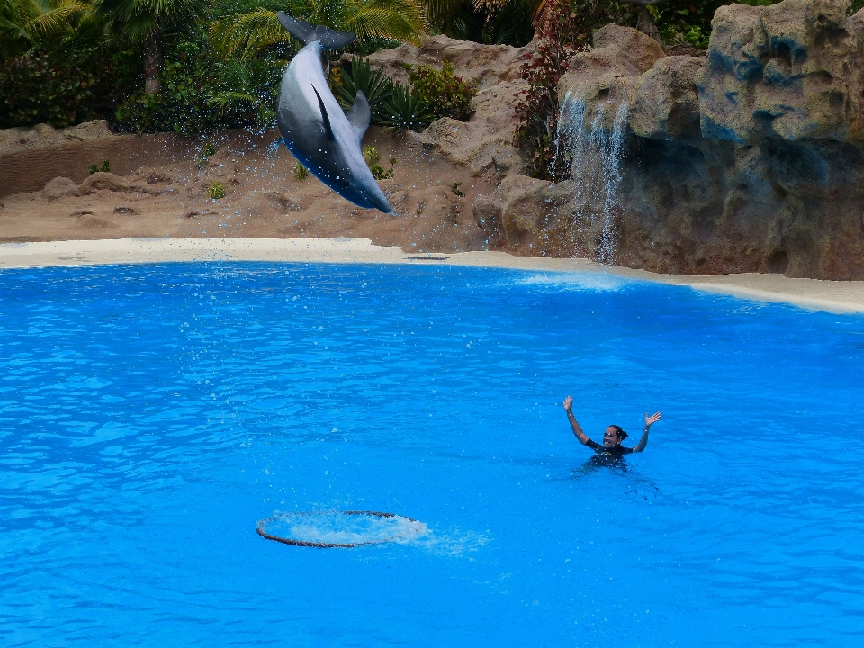 Sea water ring jump