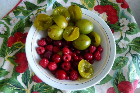 Plant raspberry fruit berry Photo