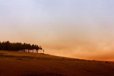 Landscape sand horizon cloud Photo