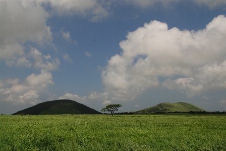 Landscape nature grass horizon Photo