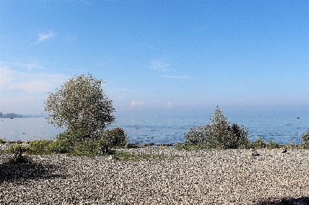 Beach landscape sea coast Photo