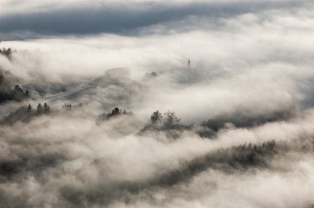 Tree nature horizon mountain Photo