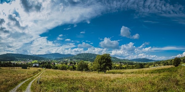 Landschaft baum gras horizont Foto