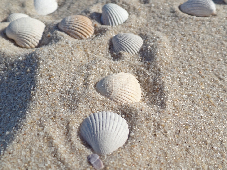 Pantai laut air pasir