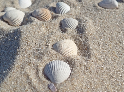 Strand meer wasser sand Foto