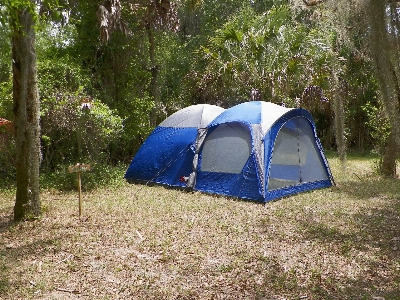 Nature forest adventure summer Photo