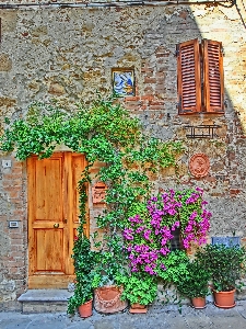 Street house flower window Photo