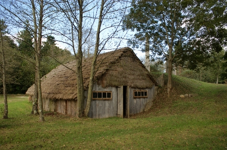 Tree wood farm house Photo