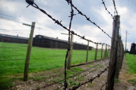 Fence barbed wire field chimney Photo