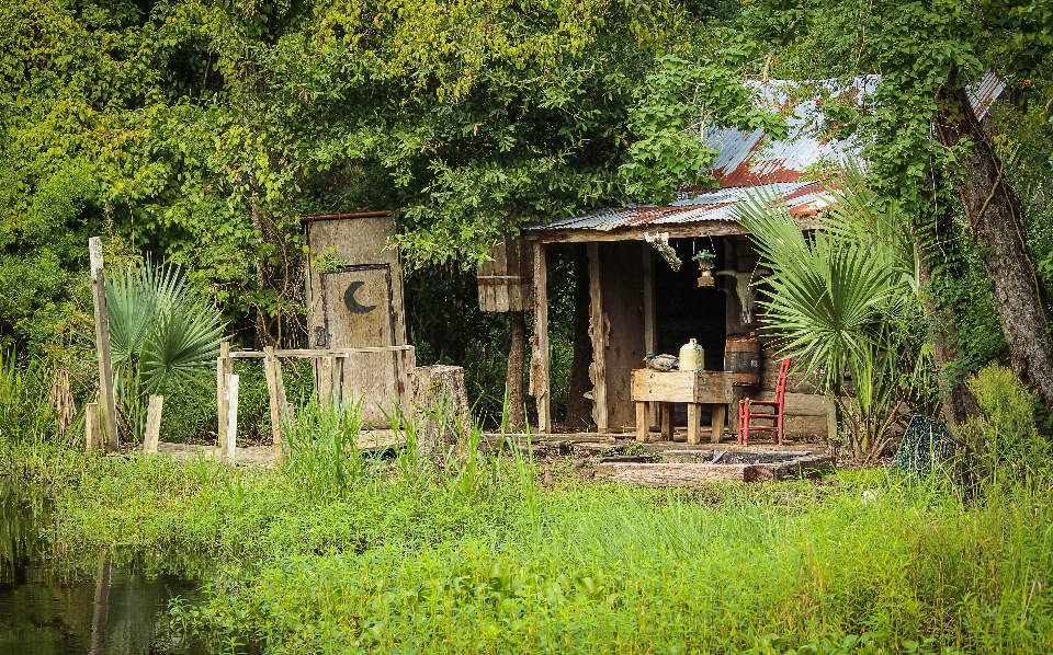 Pântano
 pântano casa flor