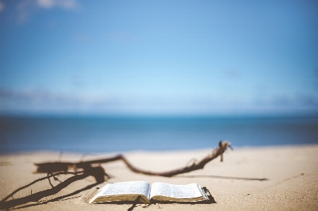 Beach sea coast sand Photo