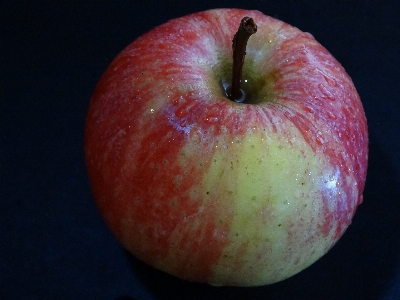 Apple water plant fruit Photo