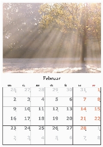 Foto Font teks kalender februari