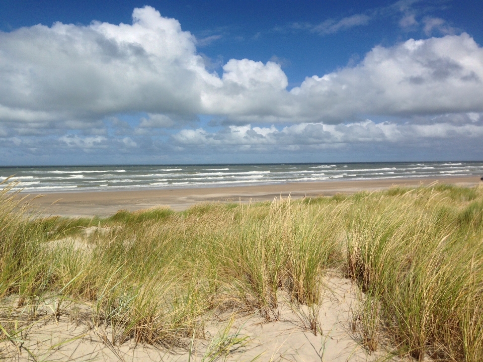 Beach sea coast nature