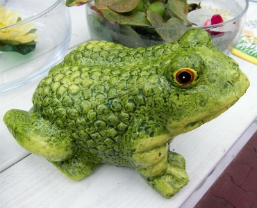 Animal pond decoration dish Photo