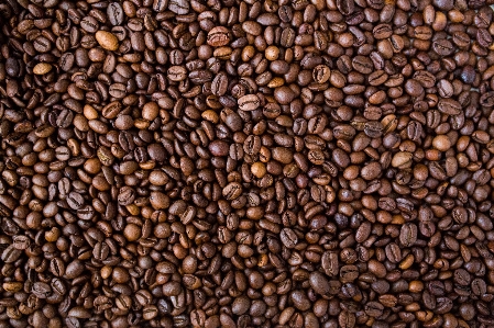 コーヒー 食べ物 生産 作物 写真