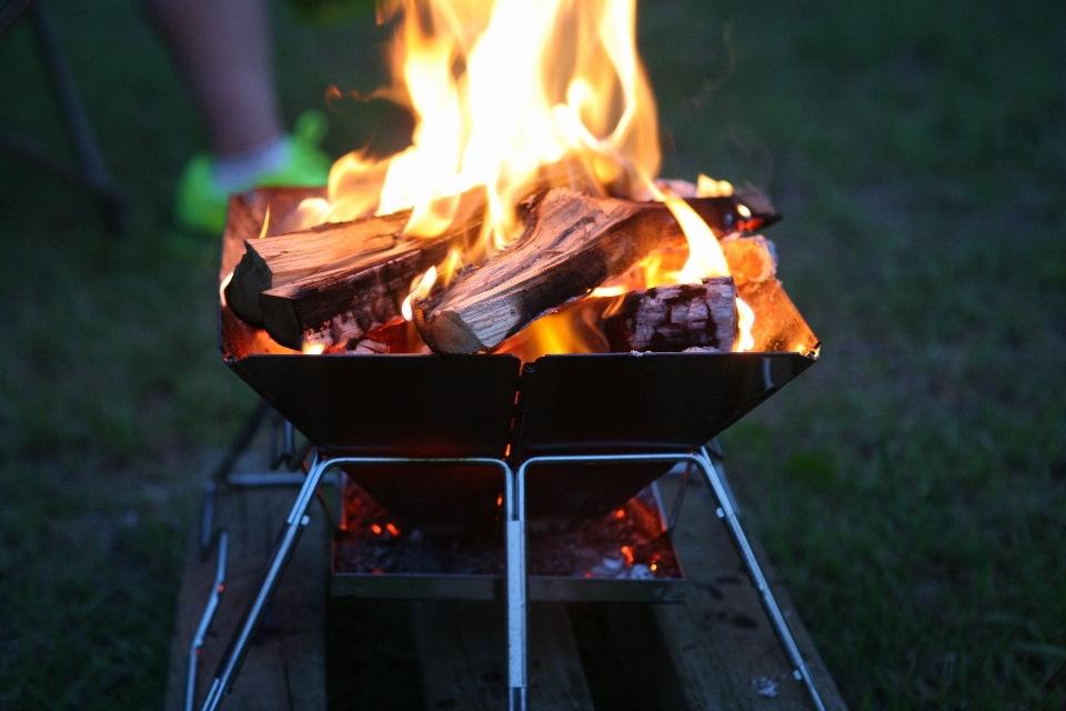 Food fire camping campfire