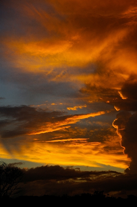 Horizont wolke himmel sonne