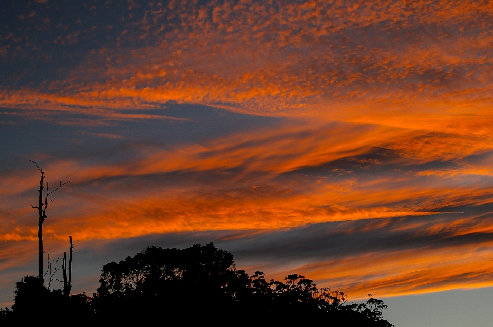 Mer horizon nuage ciel