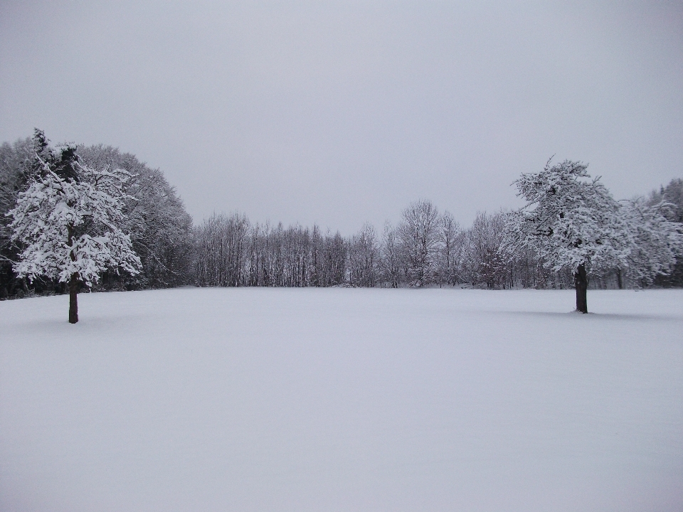 Paysage nature neige froid