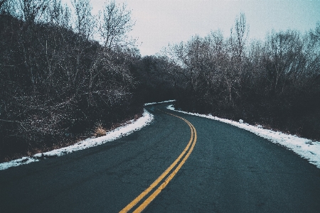 Tree snow winter road Photo