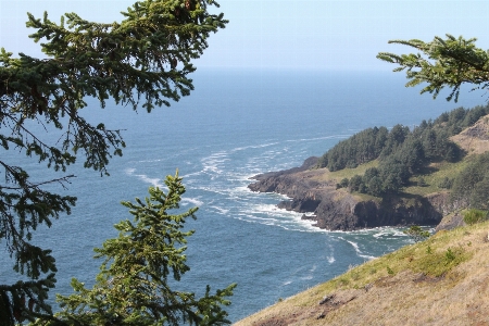 Beach landscape sea coast Photo