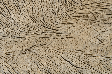 Sand wood texture floor Photo