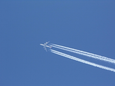 Wing sky travel airplane Photo