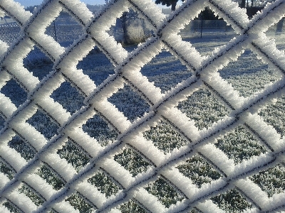 Foto Ramo nevicare freddo inverno