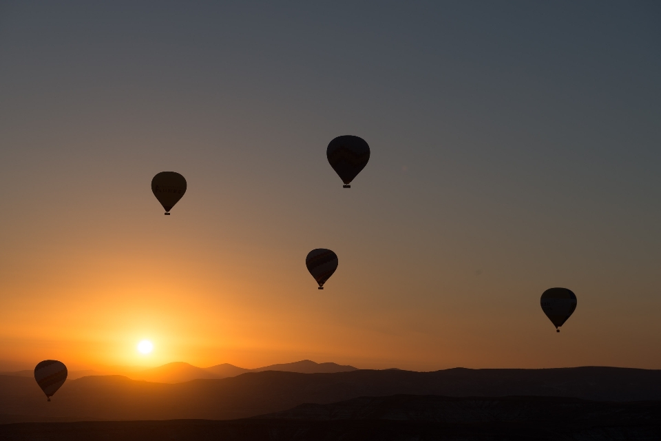 Silhouette ala cielo tramonto