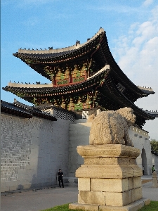 クラウド 建築 空 日没 写真