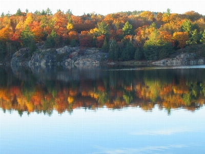 Landscape tree water nature Photo