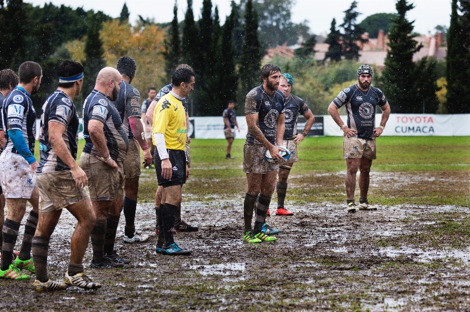 Esporte lama rúgbi corrida