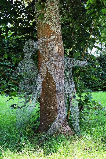 Landschaft baum natur anlage