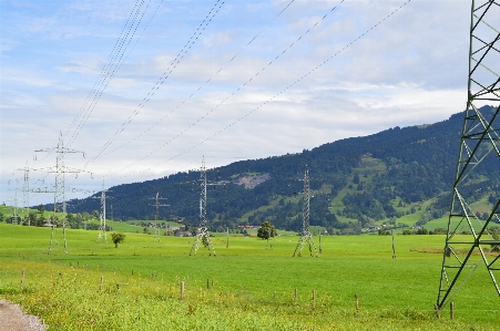 Landscape grass structure field Photo