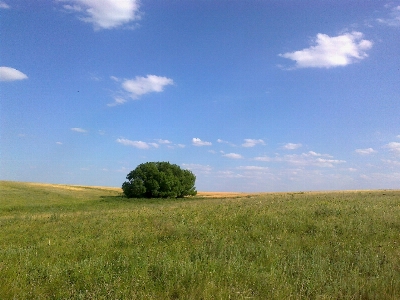 Landscape nature grass horizon Photo