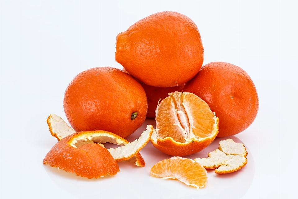 Plant fruit sweet orange