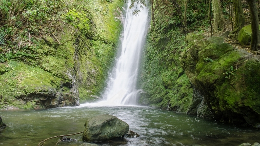 Water nature forest waterfall Photo