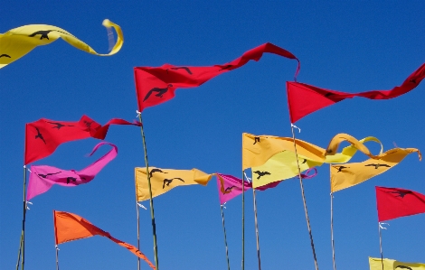 Sky flower wind red Photo