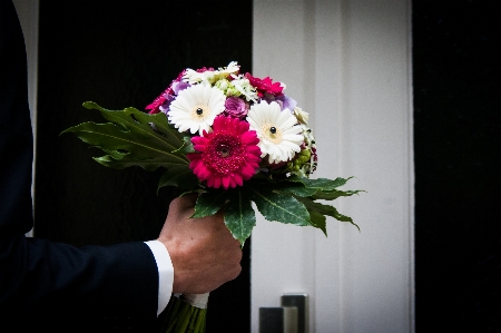 Hand plant bunch flower Photo