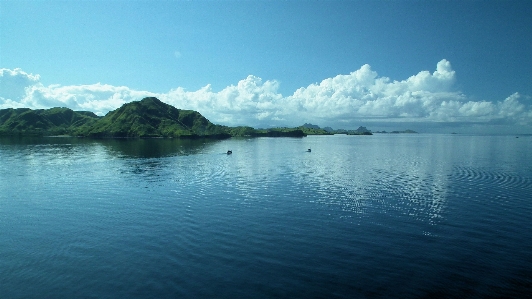 Sea coast water ocean Photo