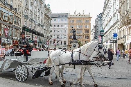 Road street cart travel Photo