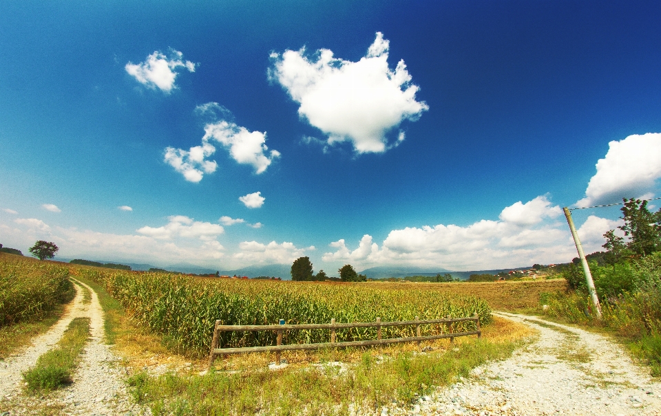 Landscape grass horizon cloud