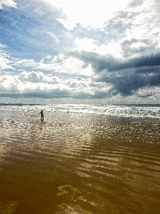 Beach landscape sea coast Photo