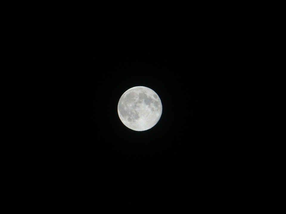 Bayangan hitam dan putih
 langit malam