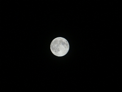 Foto Bayangan hitam dan putih
 langit malam