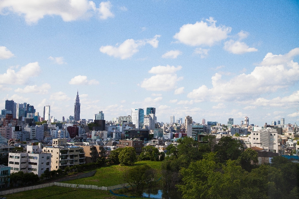 地平線 空 スカイライン 写真撮影