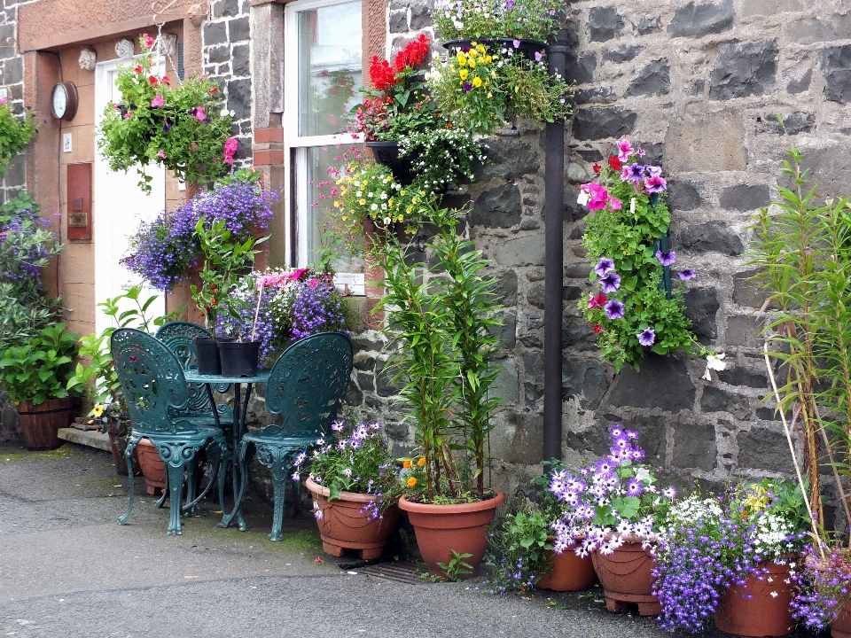 Table structure plant house