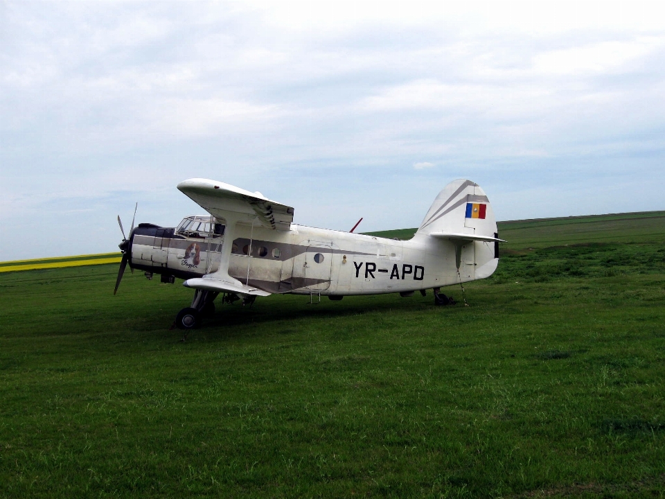 羽 年 飛行機 航空機